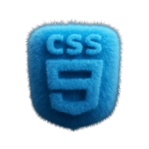 CSS